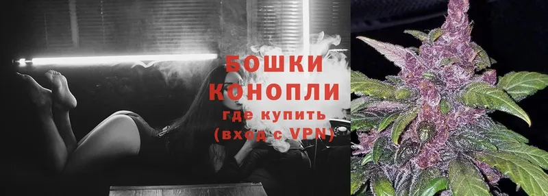 где купить   Кирсанов  Бошки Шишки White Widow 